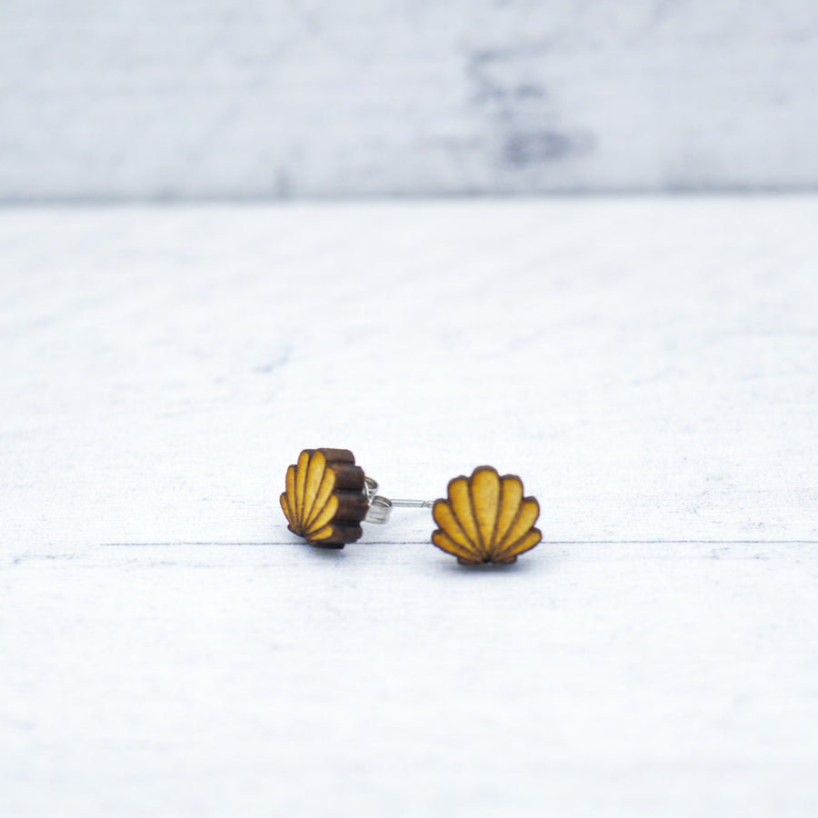 Boutons - Coquillage